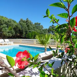 Alojamento de Acomodação e Pequeno-almoço Panoramic Paradise, São Brás de Alportel